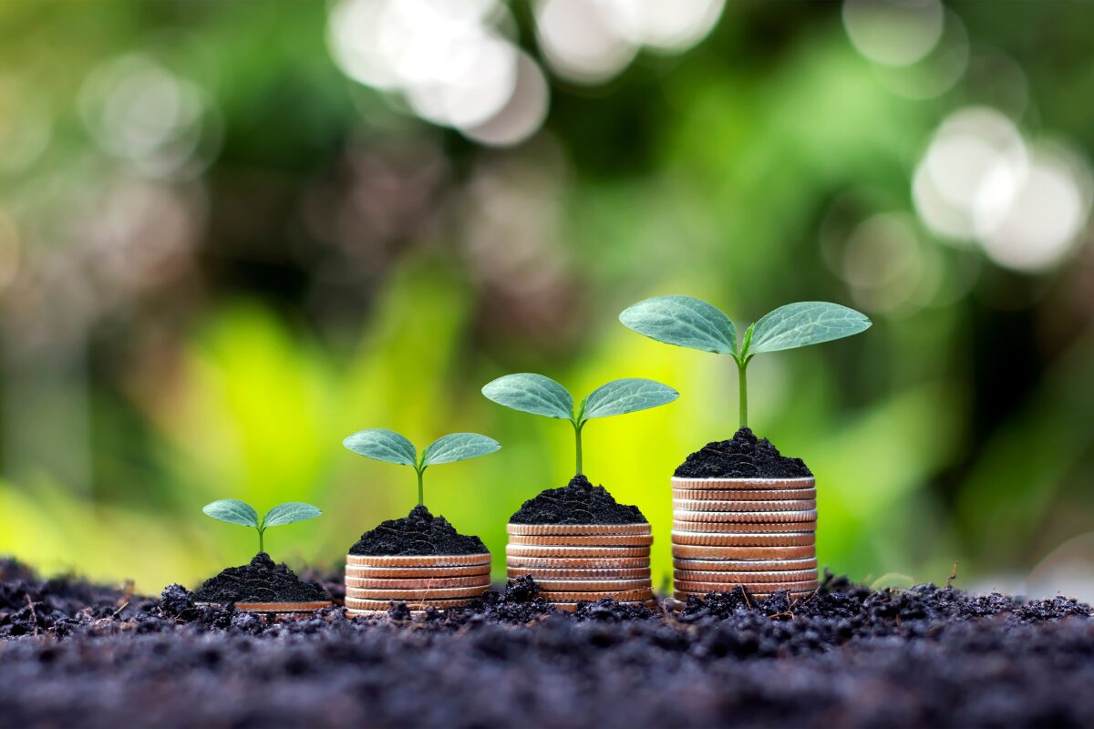 Plants in a pile of coin beautifully aligned in their growth in a bare land. How to cultivate an unbreakable mindset through positive habits.